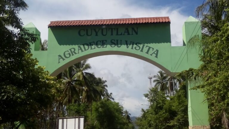 1033 huerto de coco organico 8211 rancho la curva 8211 cuyutlan 1 768x432