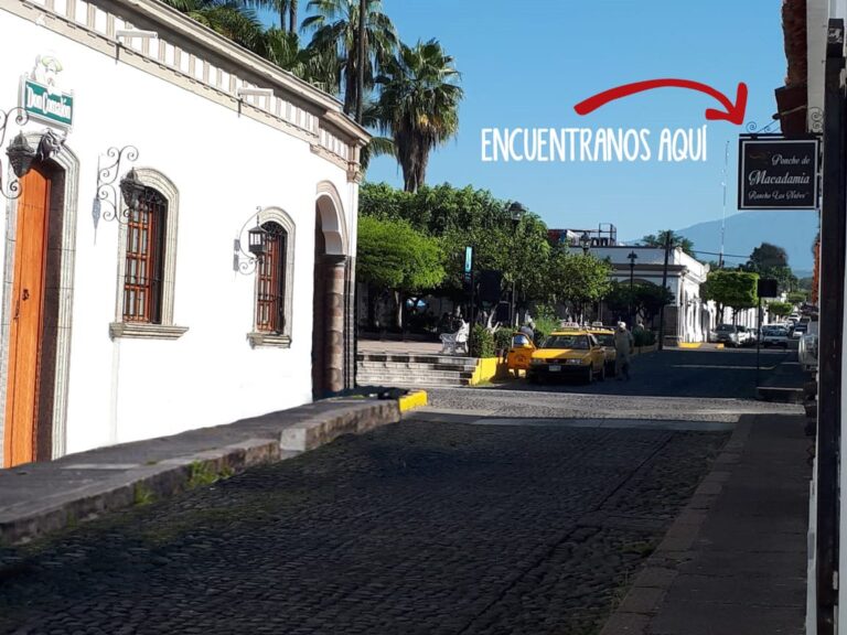 15755 ponche de macadamia rancho las nubes 1 768x576