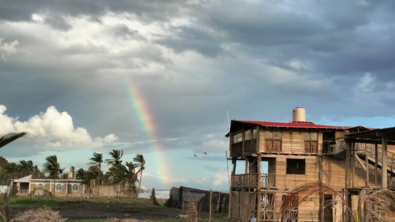 16350 las delicias del paraiso 1 768x433