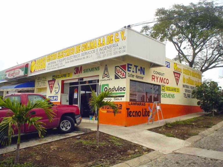 333 centro electrico de colima 768x576