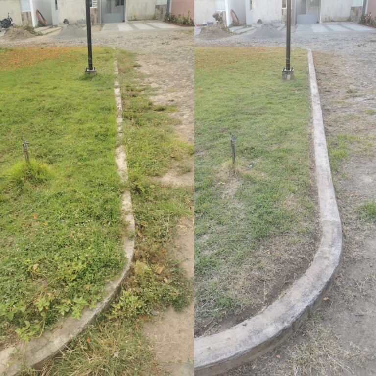 961 jardinero en colima 4 768x768