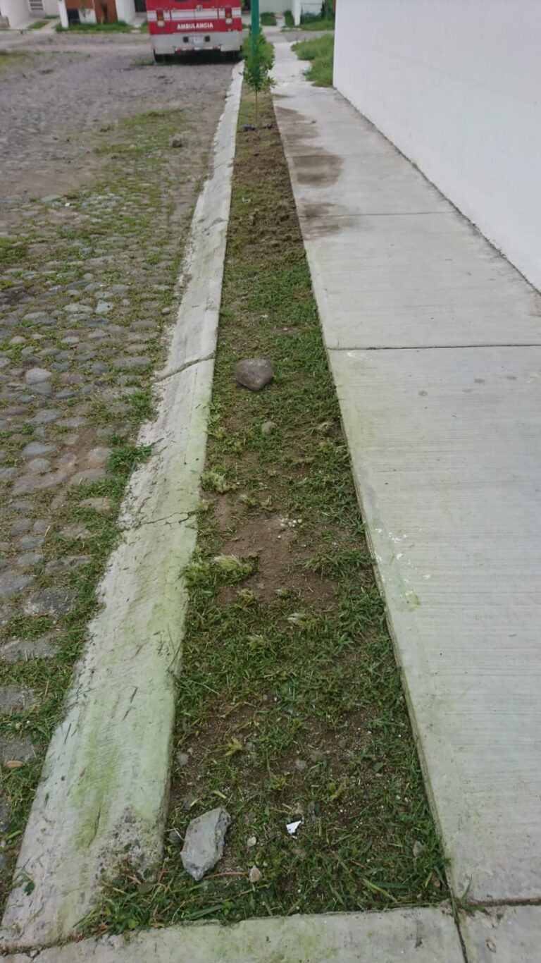 974 jardineria moreno 9 768x1366