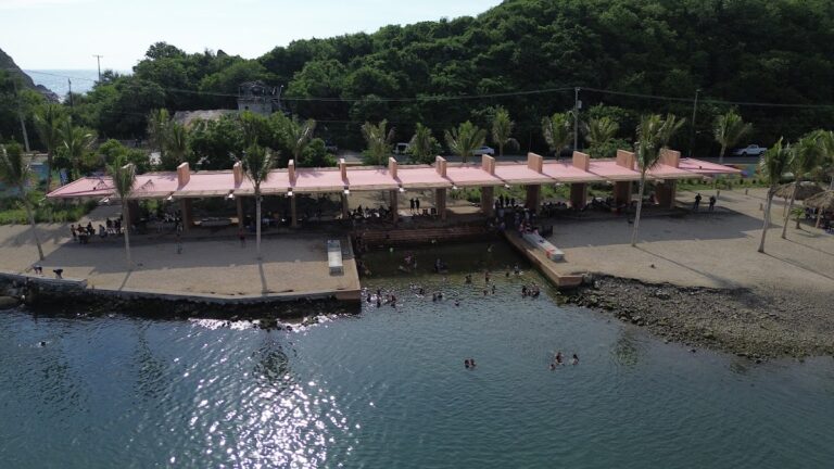 990 planocc 8211 servicios de jardineria y paisajismo 5 768x432