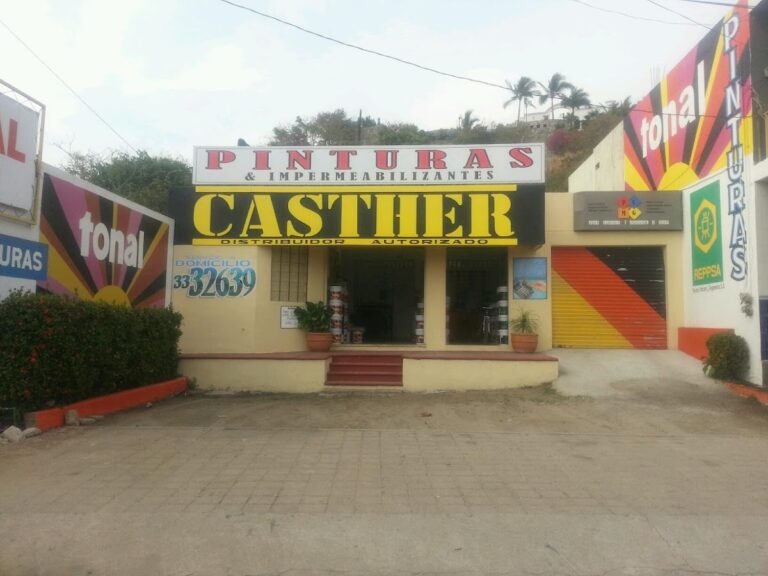 1022 pinturas casther manzanillo 768x576