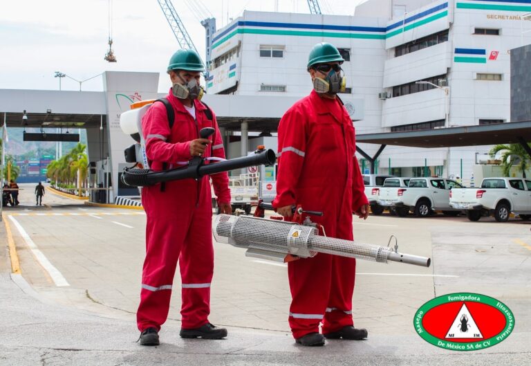 1333 masepo fumigadora 768x529