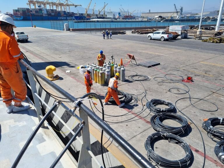 1338 centro internacional de fumigaciones fitosanitarias s.a. de c.v 768x576