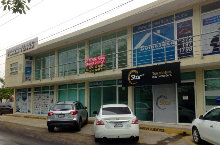 1371 domestica limpieza segura 768x506