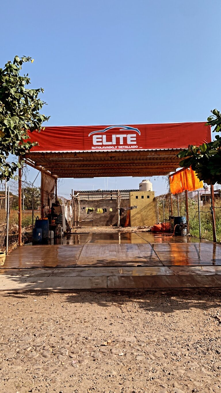 1428 elite autolavado y detallado 768x1365