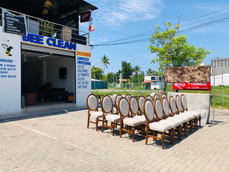 1439 bee clean manzanillo 768x576