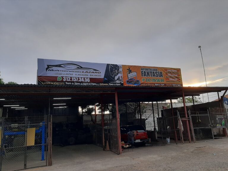 1474 autodetallado fantasia 768x576