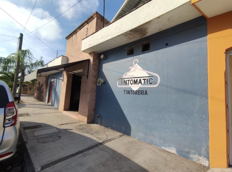 1514 tintomatic 768x570