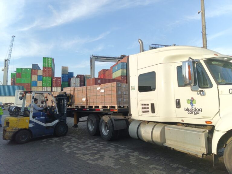 1638 transporte manzanillo blue dog cargo 768x576