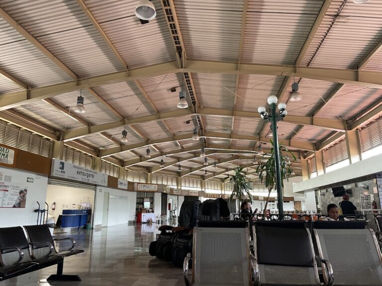 1655 paqueteria y fletes del sur 768x576