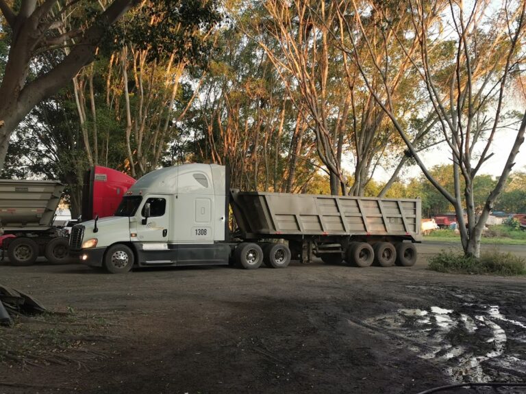 1665 conterra transportes 768x576