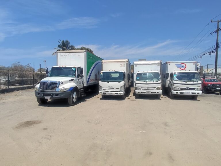 1706 zlo transportes 768x577