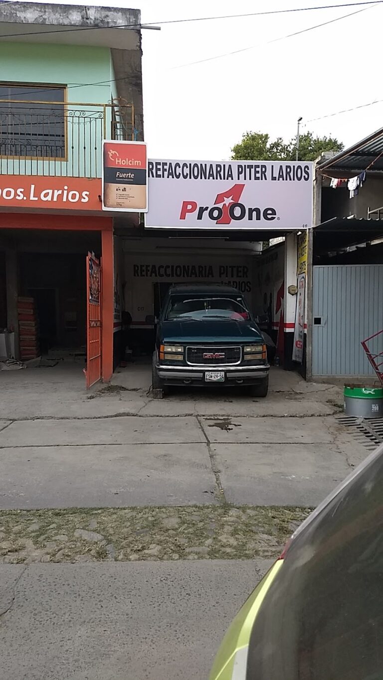 2154 refaccionaria piter larios 768x1365