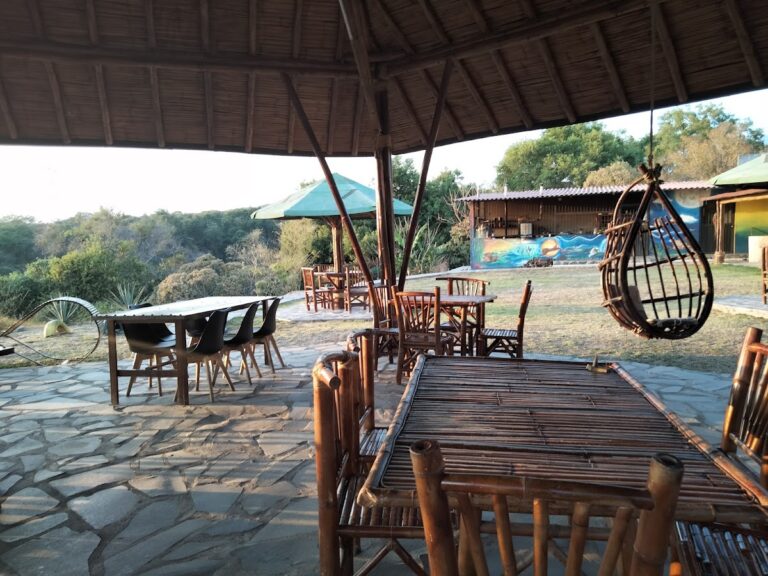 2211 huitzilin 768x576