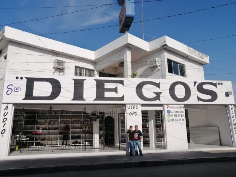 2262 electronica diegos 768x576