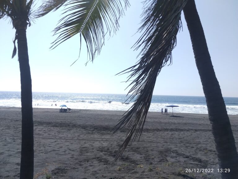 2365 playa de cuyutlan 768x579