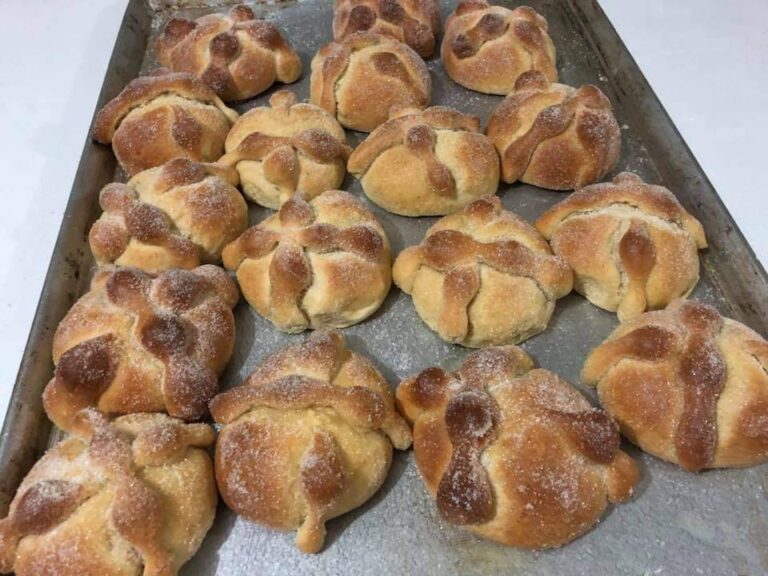 2486 panaderia 8220pan de vida8221 768x576