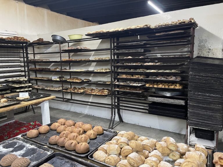 2532 panaderia amezcua 768x576