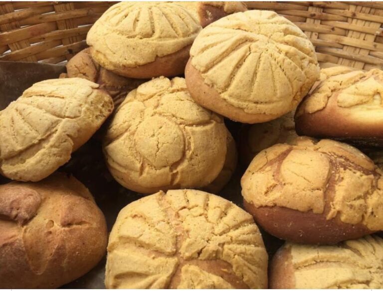 2606 panaderia diana comala 768x583