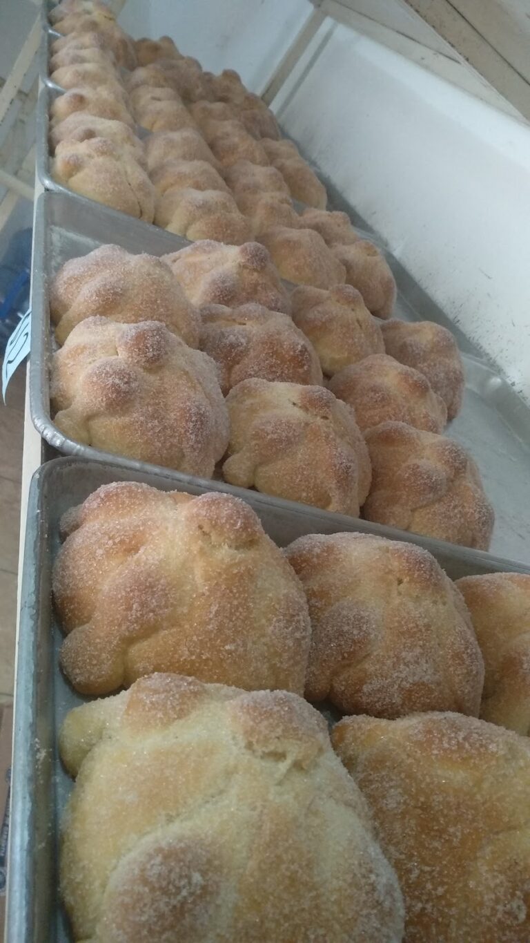 2610 panificadora max 768x1365