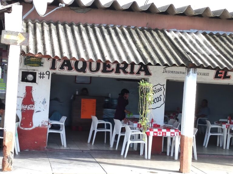 262 taqueria8221 8220el pelon8221 768x575