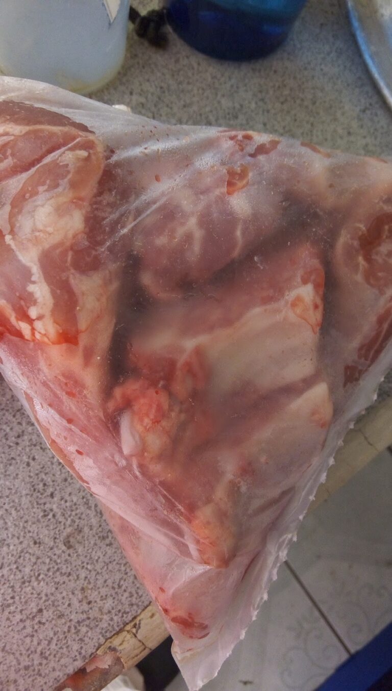 2726 carniceria villa flores 768x1355