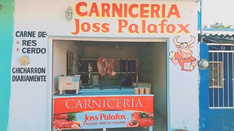 2746 carniceria 8220joss palafox8221 768x432