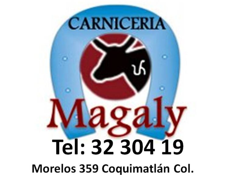 2787 carniceria magaly 768x576