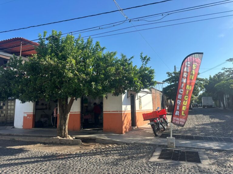 2819 carniceria san miguel 768x576