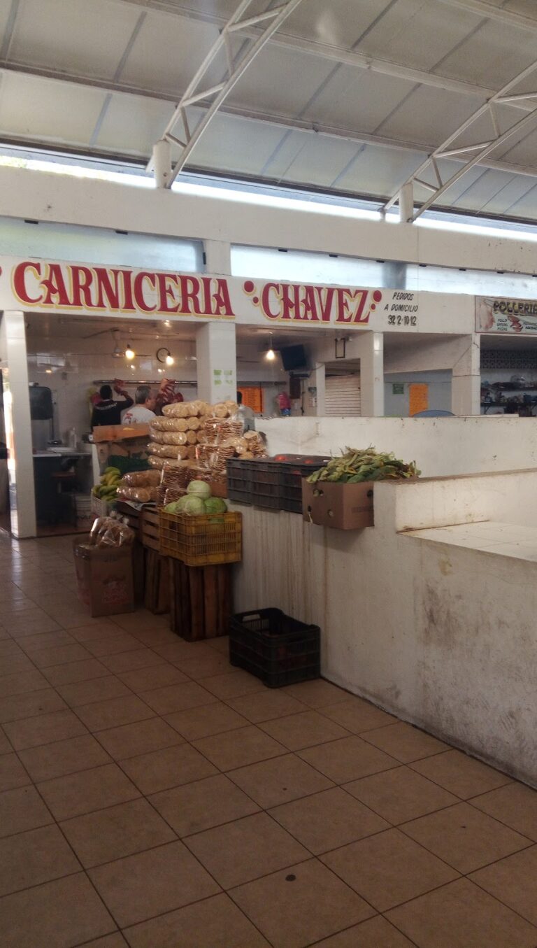 2840 mercado municipal de armeria 768x1355