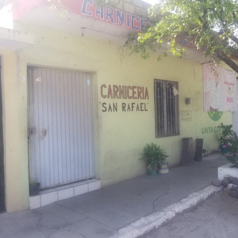 2867 carniceria san rafael 768x768