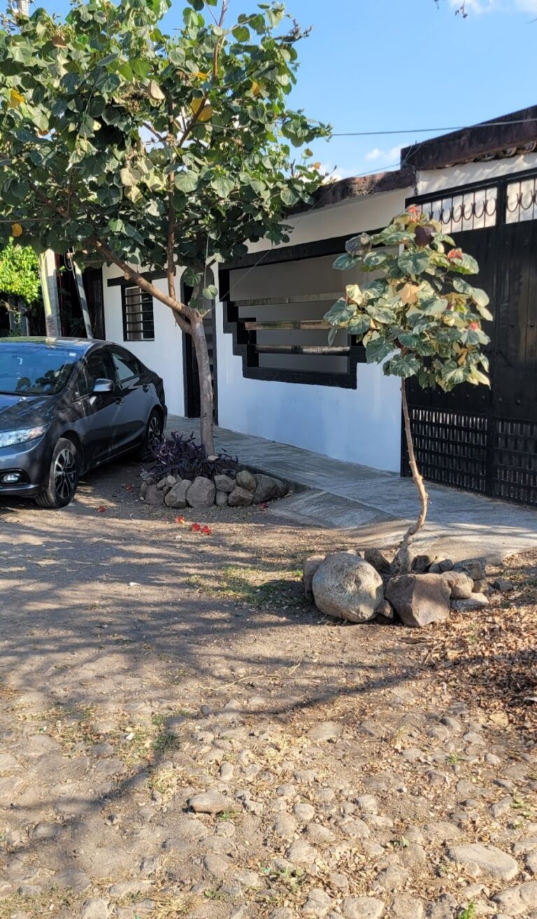 2887 jose guadalupe rincon elizondo 768x1313