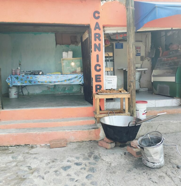 2901 carniceria el guero 768x788