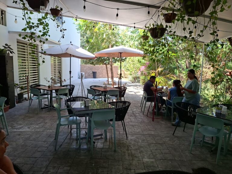 2905 amor cafe 768x576