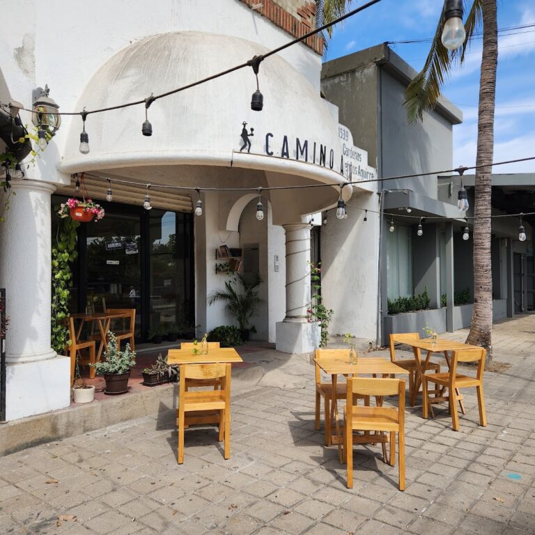 2990 camino a comala cafe de especialidad 768x768