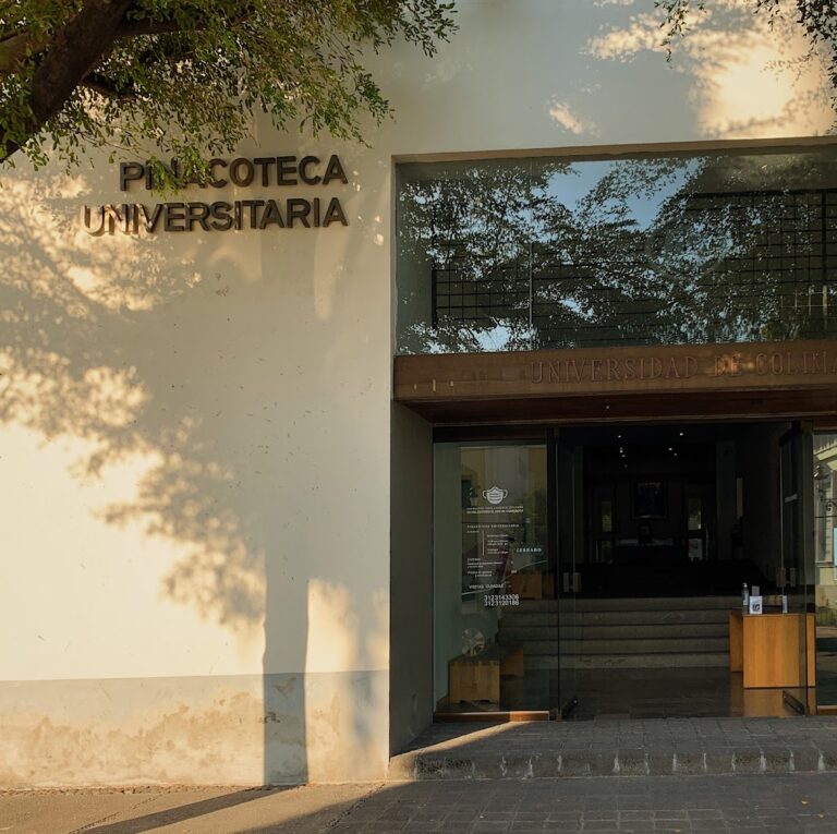 3047 el patio de pina 768x765