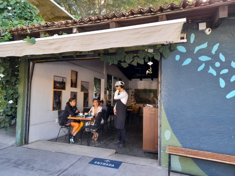 3053 amparo cafe casual 768x576