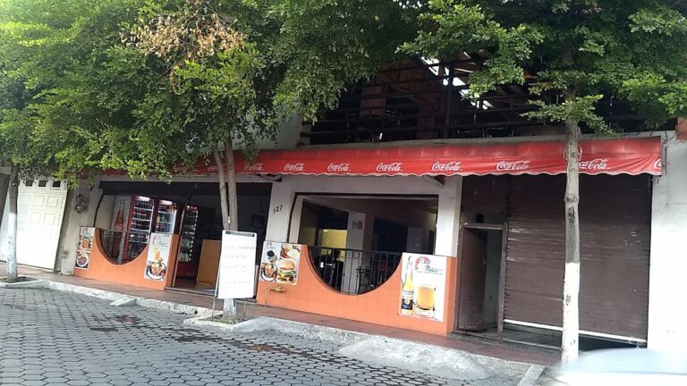 3108 el osito polar 768x432