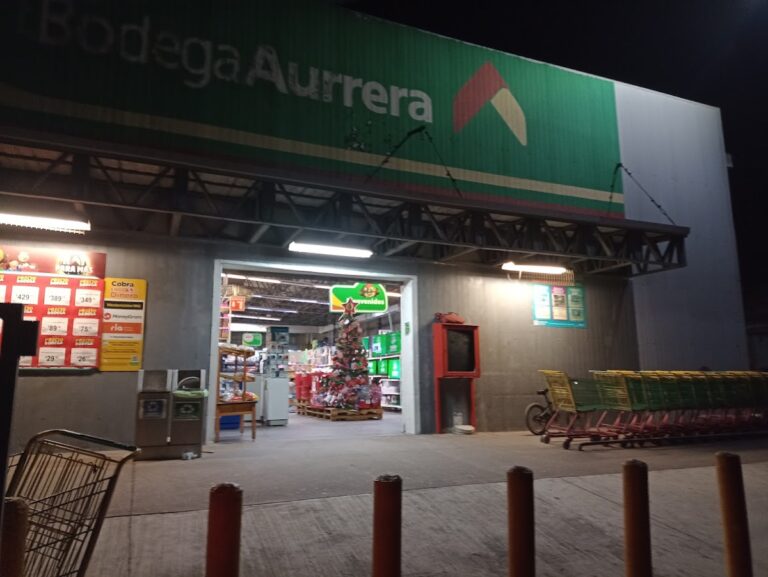 3129 mi bodega aurrera armeria 768x577