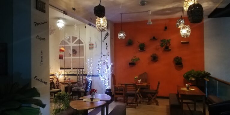 3166 vida cafe bistro 768x384