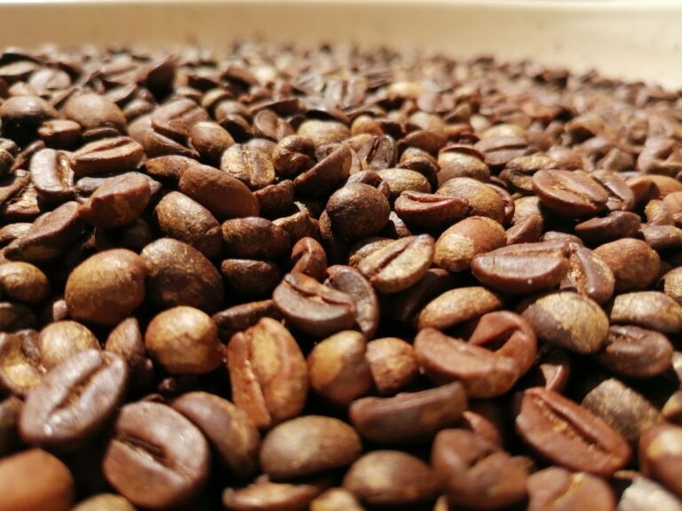 3225 restaurate cafe cafe 768x576