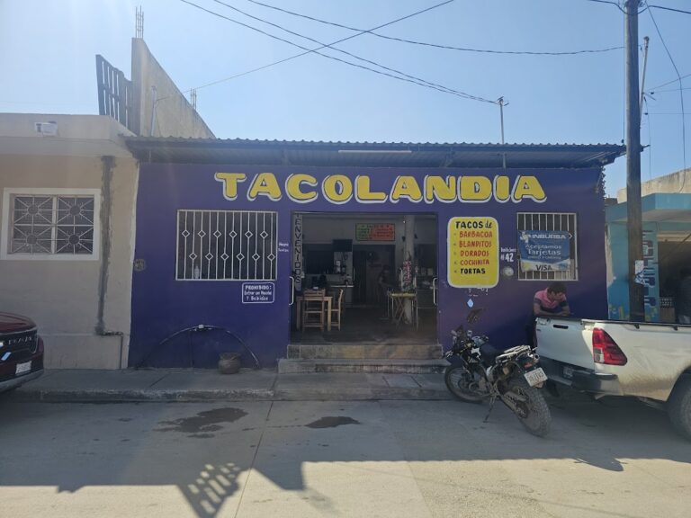 3233 tacolandia 768x576