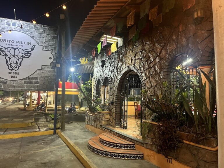 414 torito pillin 768x576