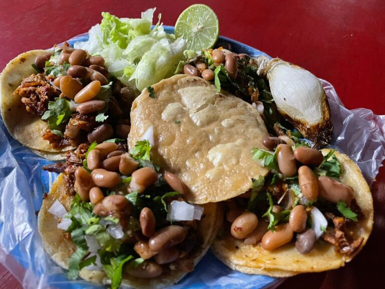 517 tortas y burritos panchitos 768x576