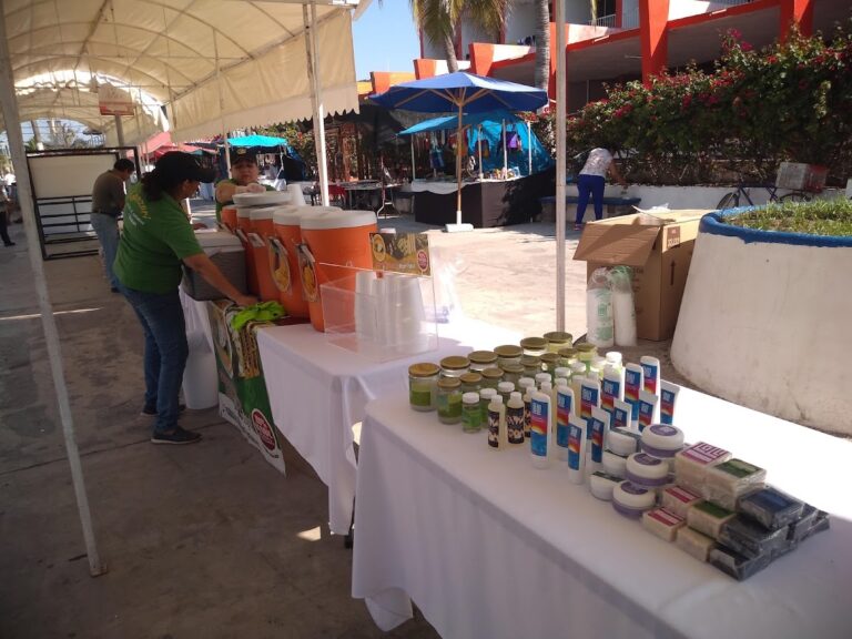 591 ola verde mariscos 768x576