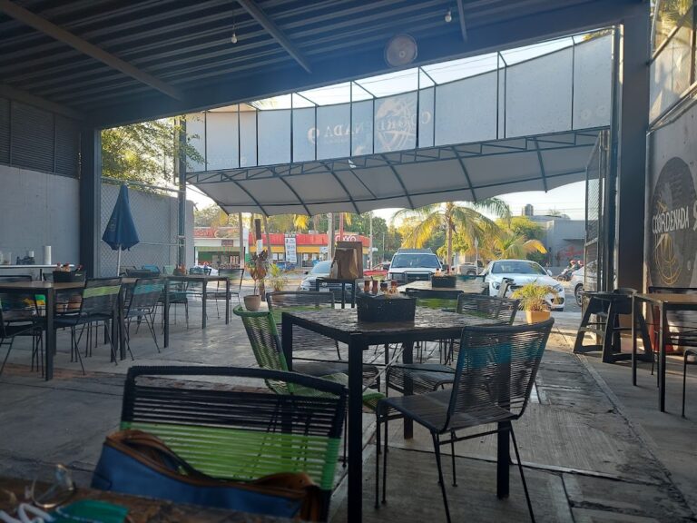 597 coordenada 9 768x576