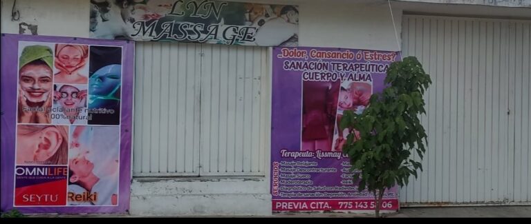 10250 lyn massage sanacion terapeutica cuerpo y alma 768x325
